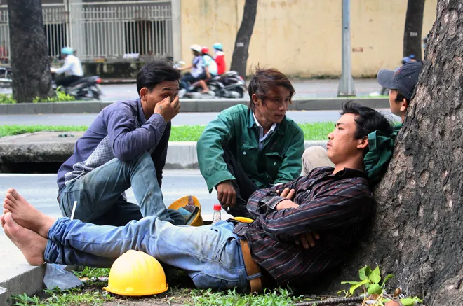 Hot: Sài Gòn lại sắp chia tay hàng cây trăm tuổi ảnh 6