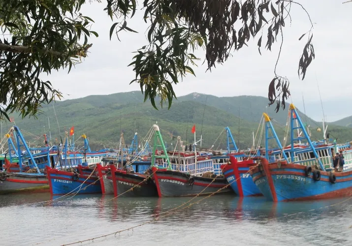 Bộ trưởng Cao Đức Phát chỉ đạo công tác ứng phó bão tại Bình Định, Phú Yên ảnh 4 Bộ trưởng Cao Đức Phát chỉ đạo công tác ứng phó bão tại Bình Định, Phú Yên ảnh 4