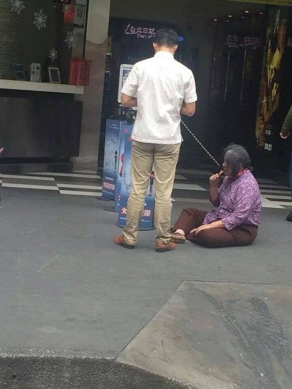 Sự thật phía sau những bức ảnh thanh niên xích cổ mẹ già dắt đi dạo phố 3