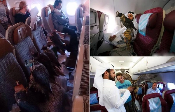 Năm 2014, các 'đại gia' trên thế giới tiêu tiền 'điên rồ' thế nào? 1