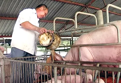 Ông Thắng và trang trại vàng cho thu nhập cả tỷ đồng mỗi năm ở hiện tại. Ảnh:Duy Trần 10-5287-1419211668.jpg