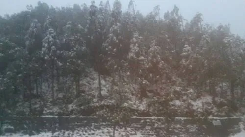 Hình ảnh tuyết rơi dày ở Sapa ảnh 11 - 11