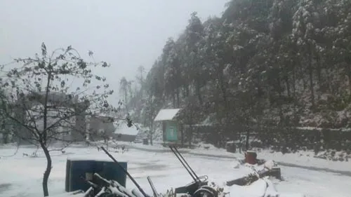 Hình ảnh tuyết rơi dày ở Sapa ảnh 1 - 1