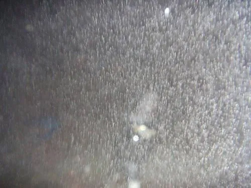 Hình ảnh tuyết rơi dày ở Sapa ảnh 4 - 4