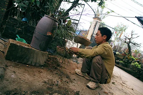 Ngắm mai trắng giá tiền triệu giữa Thủ đô ảnh 12 - 12