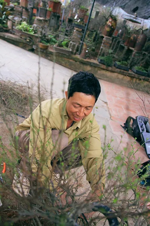 Ngắm mai trắng giá tiền triệu giữa Thủ đô ảnh 15 - 15