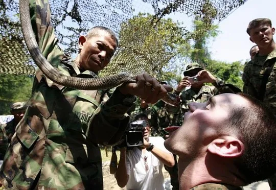 Trung Quốc lần đầu tham gia tập trận Hổ mang vàng ảnh 1