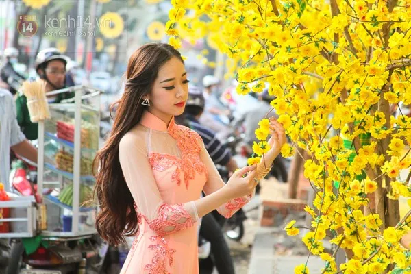 Sài Gòn tấp nập đến đường mai, phố ông đồ chụp ảnh ảnh 6