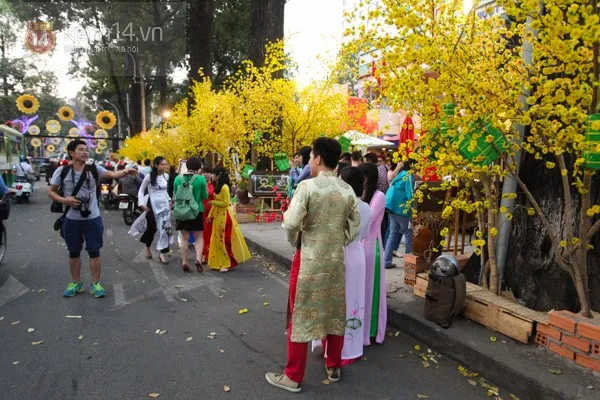 Sài Gòn tấp nập đến đường mai, phố ông đồ chụp ảnh ảnh 2