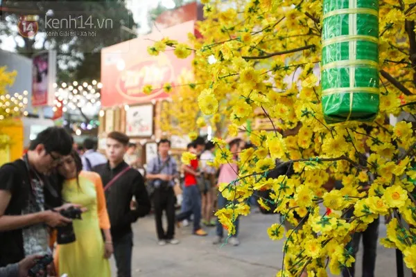 Sài Gòn tấp nập đến đường mai, phố ông đồ chụp ảnh ảnh 4