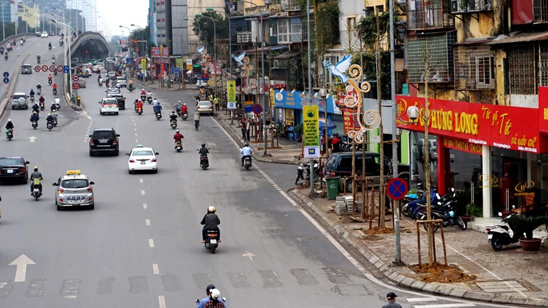 cây xanh; 6.700 cây; Hà Nội; chặt hạ