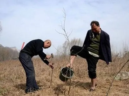 Kinh ngạc: Hai cụ ông khuyết tật trồng hơn 10.000 cây xanh suốt 10 năm ảnh 3 - 3