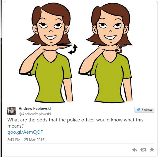 Người đàn ông khiếm thính bị bắt vì chửi cảnh sát bằng... ngôn ngữ ký hiệu ảnh 2