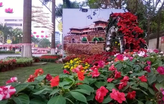 Thanh Hóa bỏ 3 tỉ đồng làm đường hoa đón năm du lịch ảnh 13 Thanh Hóa bỏ 3 tỉ đồng làm đường hoa đón năm du lịch