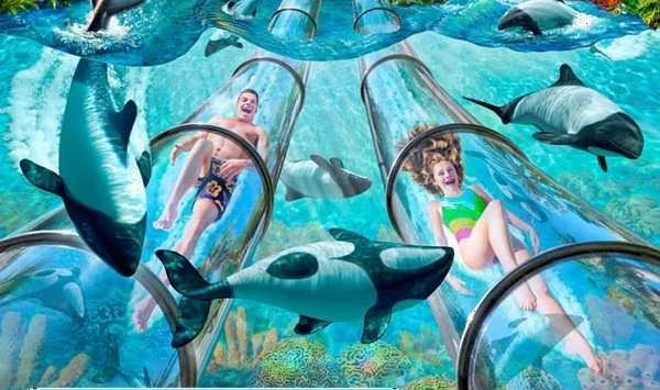 Mê mẩn với những công viên nước hoành tráng nhất thế giới ảnh 2