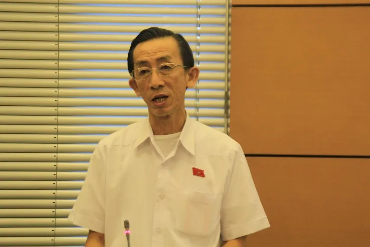 ‘Nếu trung ương quyết hết thì cần gì đến HĐND nữa’ ảnh 1