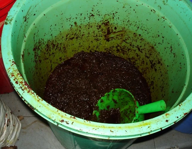 ‘Soi’ từ nước đá đến heo quay: Độc và bẩn ảnh 8