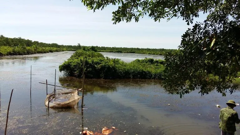 Chùm ảnh gia đình ông Đoàn Văn Vươn vui mừng nghe tin đặc xá ảnh 5