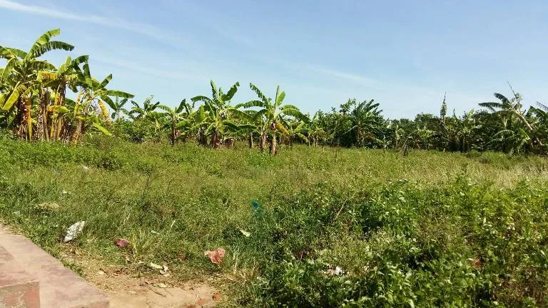 Chùm ảnh gia đình ông Đoàn Văn Vươn vui mừng nghe tin đặc xá ảnh 10