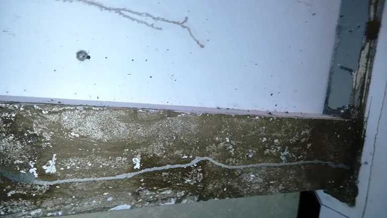 Mối và nước mưa ‘tấn công’ tòa nhà 200 tỉ đồng ảnh 4 Mối và nước mưa ‘tấn công’ tòa nhà 200 tỉ đồng ảnh 4