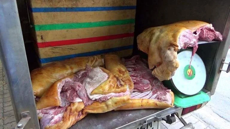 Phát hiện đường dây biến heo nái già thành heo rừng ảnh 2