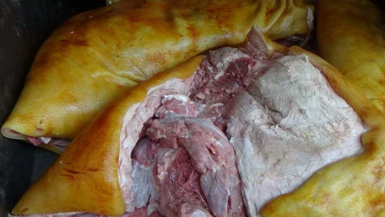 Phát hiện đường dây biến heo nái già thành heo rừng ảnh 3