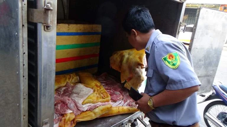 Phát hiện đường dây biến heo nái già thành heo rừng ảnh 1