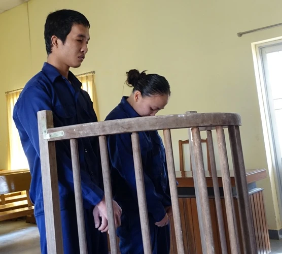 Trả hồ sơ để giám định tâm thần Hào Anh ảnh 1