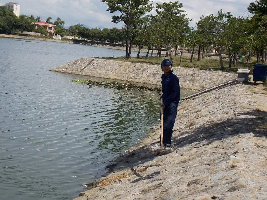 Người dân vớt cá chết mang đi tiêu hủy