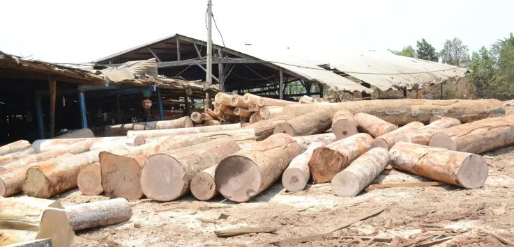 Một bãi gỗ không rõ nguồn gốc được cất giữ tại doanh nghiệp tư nhân Quốc Triệu