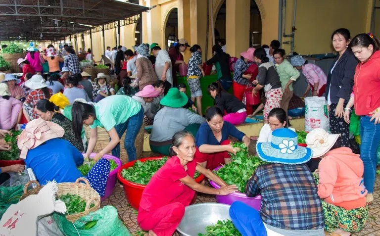 Các tín đồ đến làm cơm chay miễn phí