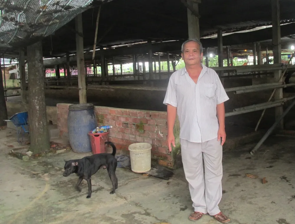 Ông Rỏn bên chuồng trâu, trang trại bỏ hoang vì mất tiền, bản thân lâm vào tù tội (ảnh N.D) 