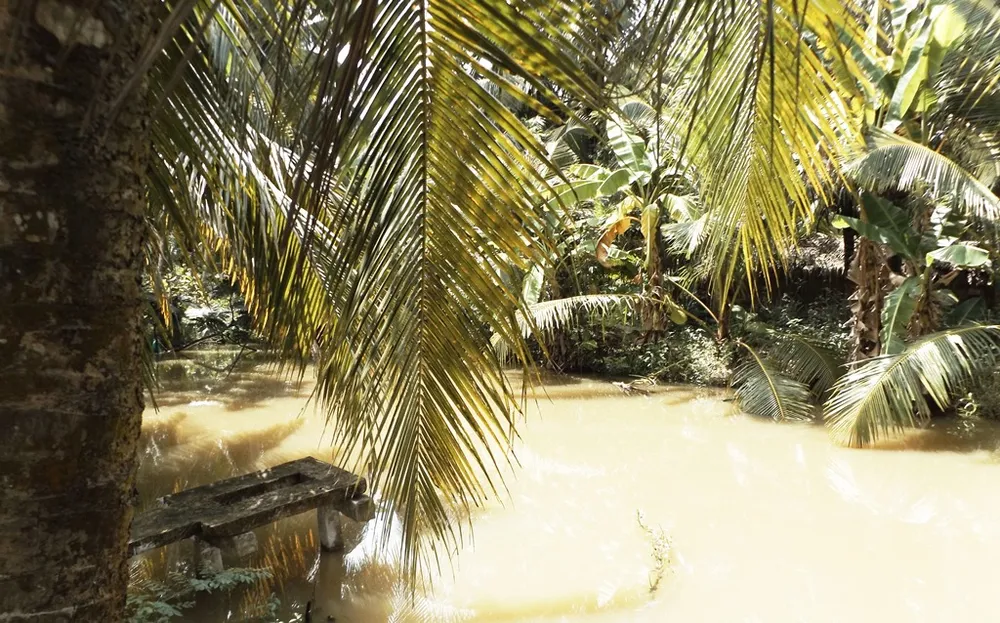 Mương nước, hiện trường nơi phát hiện thi thể của bà L