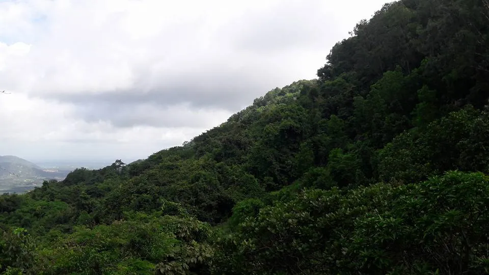 Đã tìm thấy vị trí máy bay rơi, 3 phi công đều tử nạn