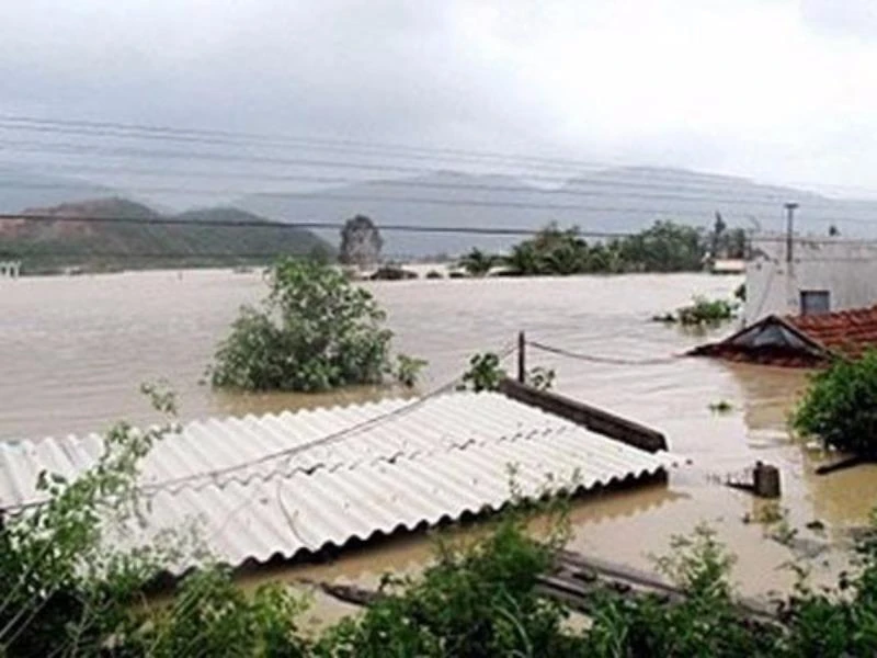 Lũ ở Bình Định dâng lên nóc nhà (Ảnh: Báo Bình Định, AFP)