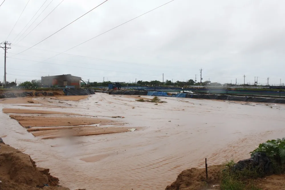 Người dân miền Trung ngồi khóc vì rau, màu xơ xác ảnh 4 Người dân miền Trung ngồi khóc vì rau, màu xơ xác ảnh 4