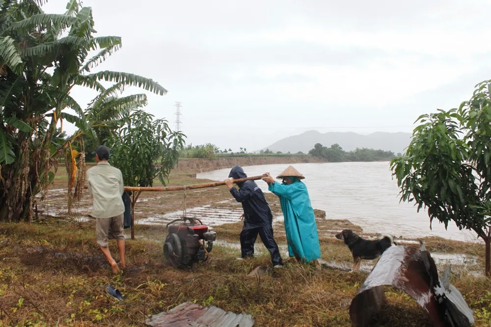 Người dân miền Trung ngồi khóc vì rau, màu xơ xác ảnh 5 Người dân miền Trung ngồi khóc vì rau, màu xơ xác ảnh 5