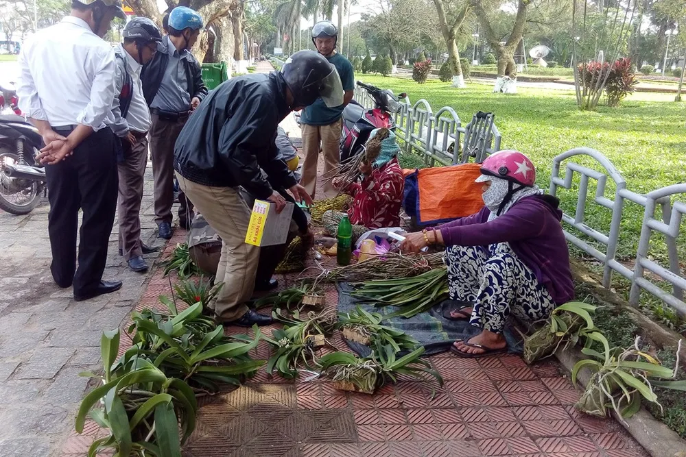 Rất nhiều loại lan được bày bán. Ảnh: NGUYỄN DO