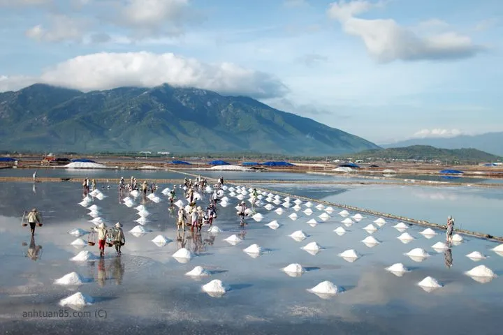 Chính sách mới có hiệu lực trong tháng 5-2017 (phần 2) ảnh 2