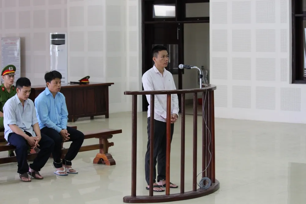 Không giảm án cho kẻ giết voọc trên núi Sơn Trà ảnh 1