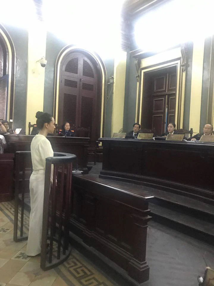 Luật sư của Phương Nga đề nghị giữ bí mật chứng cứ mới ảnh 5