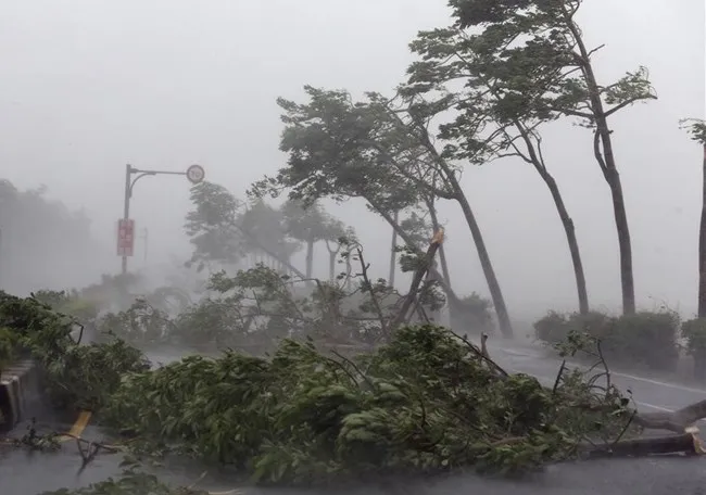 Những Nghị định có hiệu lực thi hành trong tháng 9-2017 ảnh 2