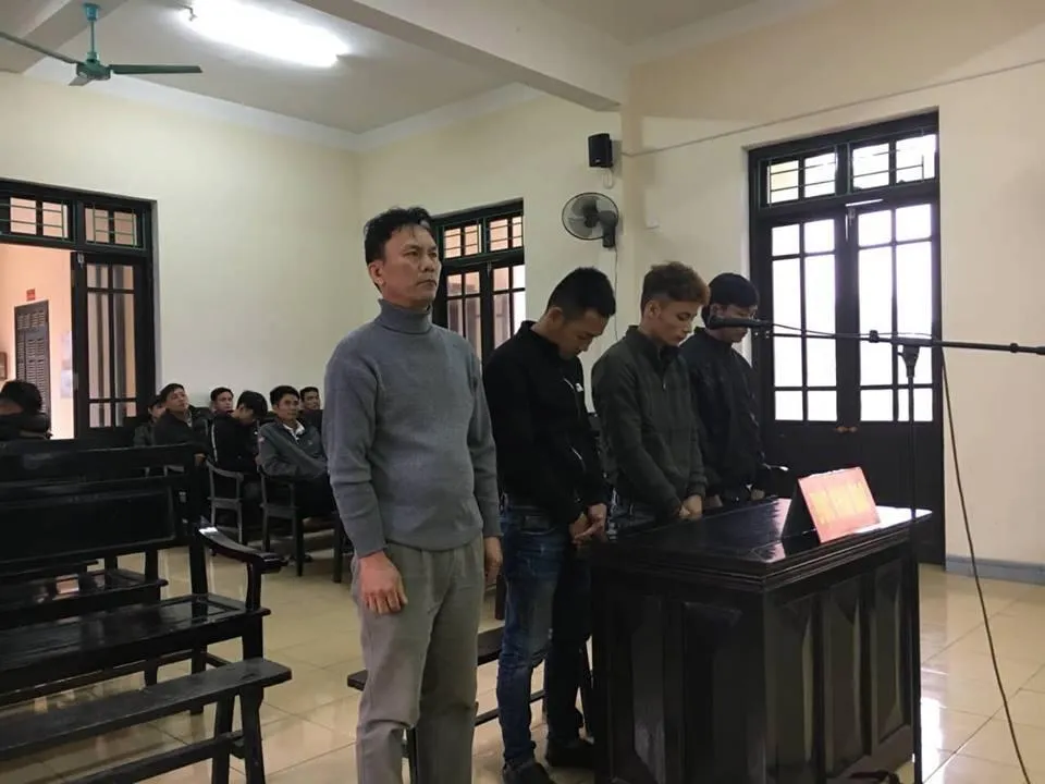 Gắn súng bắn điện vào xe, nhóm cẩu tặc bắt 20 con chó ảnh 1 Gắn súng bắn điện vào xe, nhóm cẩu tặc bắt 20 con chó ảnh 1