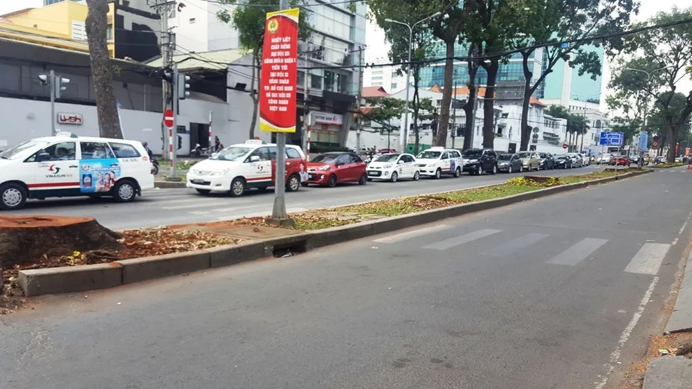 Ai là người đặt hoa hồng ở mỗi gốc cây bị chặt? ảnh 3