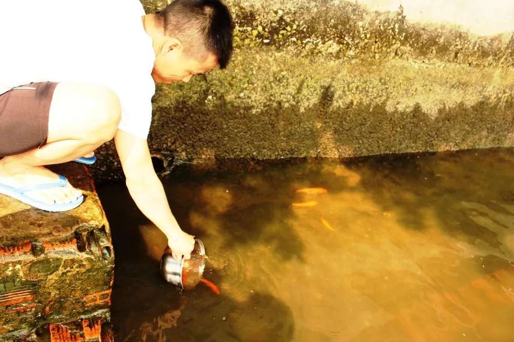 Sau khi làm lễ sẽ mang cá ra sông Sài Gòn thả