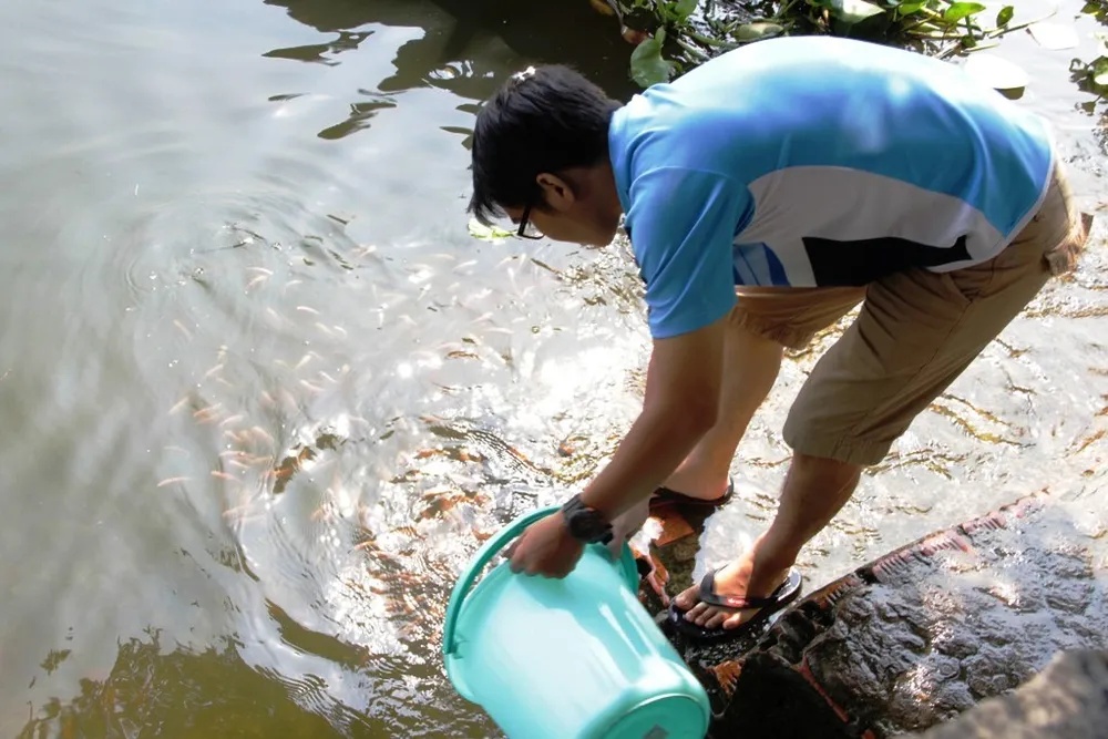 Nhiều người đã dùng xô thay cho bao ni lông đem cá ra sông thả để bảo vệ môi trường.