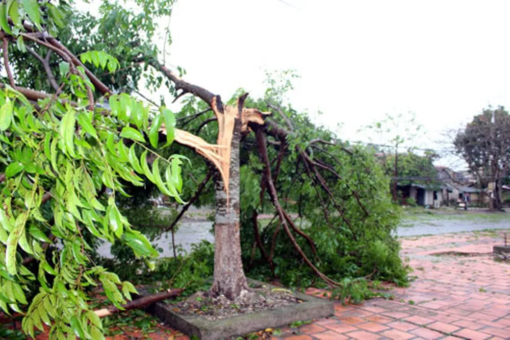 Bắc Kạn mưa đá và lốc lớn ảnh 2