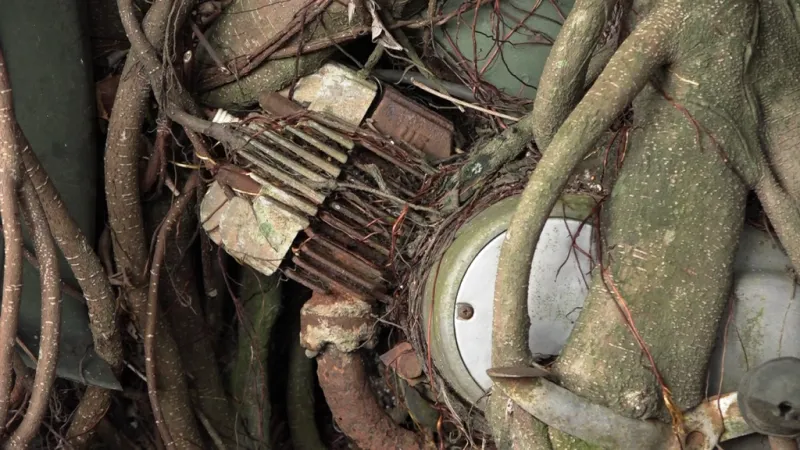 1 cây cổ thụ quấn chặt xe máy hàng chục năm ảnh 3 1 cây cổ thụ quấn chặt xe máy hàng chục năm ảnh 3