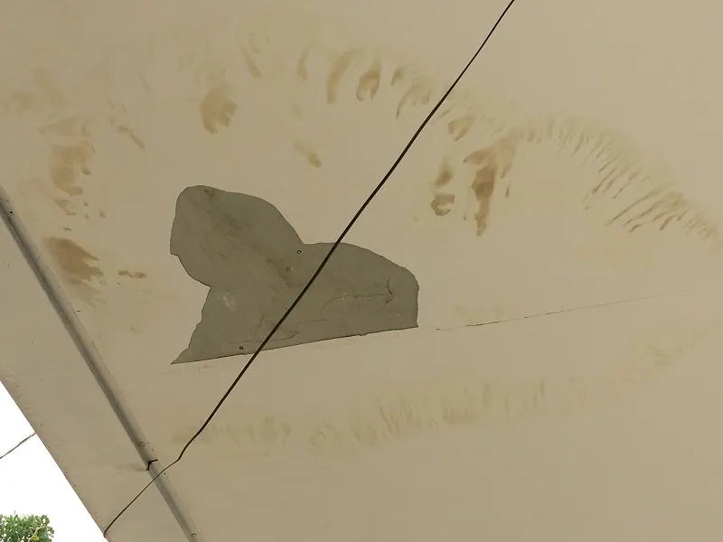 Người dân phát hiện bến buýt đường sông mới xong đã hư hại ảnh 5