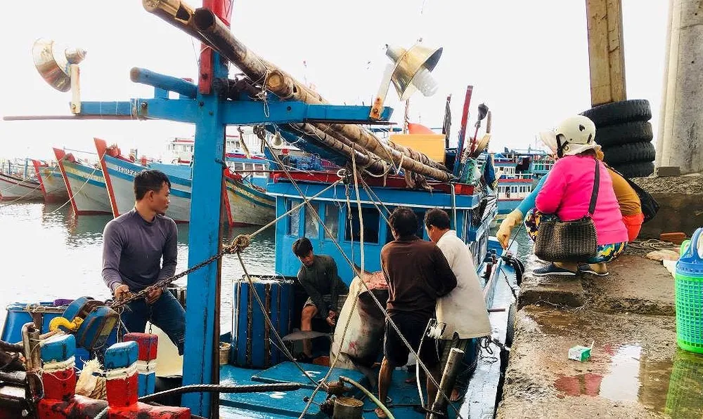 Dân thích thú với thịt cá mập giá 50 ngàn/kg ảnh 1 Dân thích thú với thịt cá mập giá 50 ngàn/kg ảnh 1